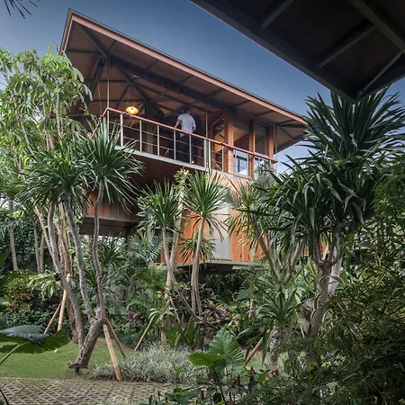 Gruen Canggu Garden